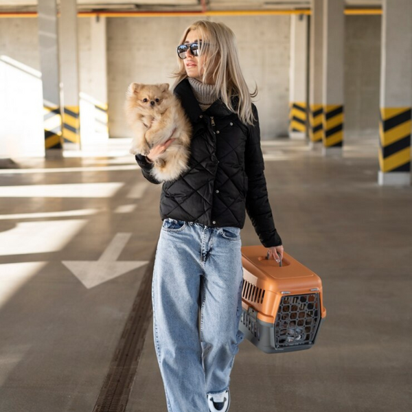 Travel & Carriers