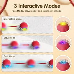 Electric Cat Ball – Interactive Rolling Toy