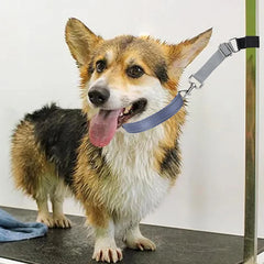 Dog Grooming Arm Extension Straps – Nylon Extender Belts for Pet Grooming Arms