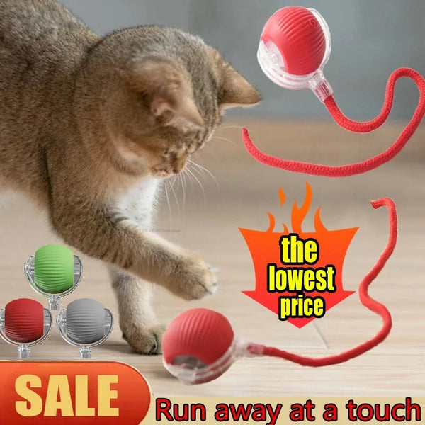 Electric Cat Ball – Interactive Rolling Toy