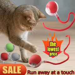 Electric Cat Ball – Interactive Rolling Toy