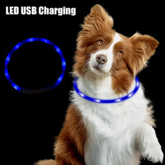 LED USB Rechargeable Dog Collar – Night Safety Glow Collar