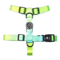 Gradient Color Dog Collar & Leash Set – Luxury Personalized Harness for Small, Medium & Large Dogs