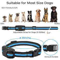 No Shock Dog Training Collar with Remote – 3300Ft Range & Waterproof Design