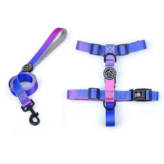 Gradient Color Dog Collar & Leash Set – Luxury Personalized Harness for Small, Medium & Large Dogs