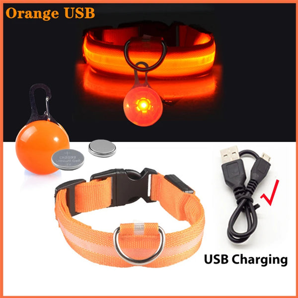 USB LED Glowing Dog Collar with Pendant