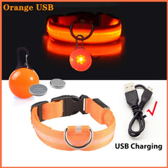 USB LED Glowing Dog Collar with Pendant