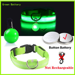 USB LED Glowing Dog Collar with Pendant