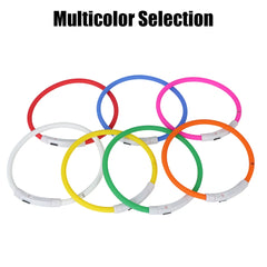 LED USB Rechargeable Dog Collar – Night Safety Glow Collar