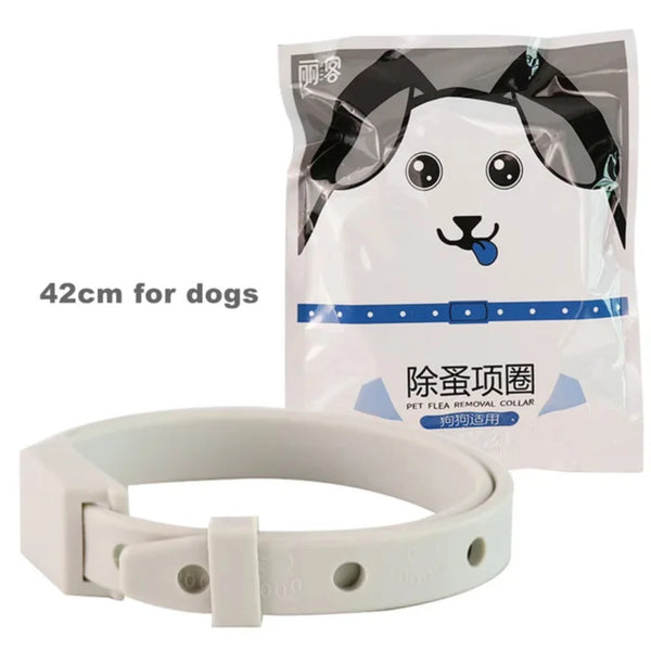 Anti Flea Tick Collar  Cat Small Dog Antiparasitic 8Month Protection Adjustable Puppy Kitten Collar Breakaway Pet Accessories