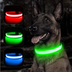 USB LED Glowing Dog Collar with Pendant