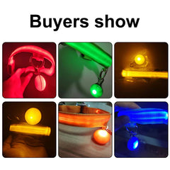 USB LED Glowing Dog Collar with Pendant