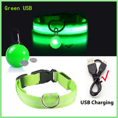 USB LED Glowing Dog Collar with Pendant
