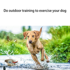 Dog Training Dummy Toy – Fake Duck Mallard Retrieval & Chewing Toy for Hunting Training