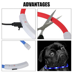 LED USB Rechargeable Dog Collar – Night Safety Glow Collar