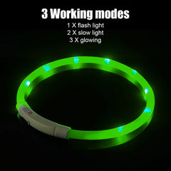 LED USB Rechargeable Dog Collar – Night Safety Glow Collar
