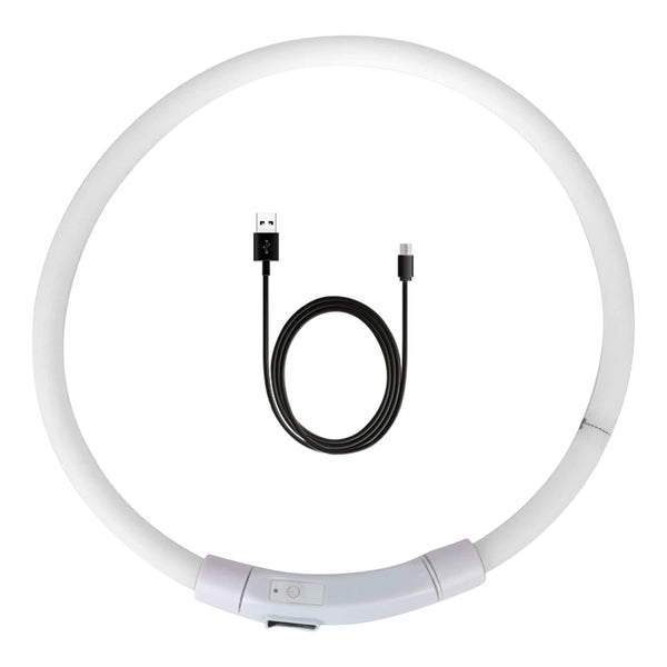 LED USB Rechargeable Dog Collar – Night Safety Glow Collar