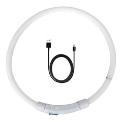 LED USB Rechargeable Dog Collar – Night Safety Glow Collar