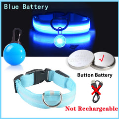 USB LED Glowing Dog Collar with Pendant