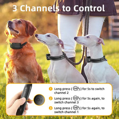 ROJECO Electric Dog Training Collar