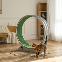Cat Exercise Wheel – Indoor Running Treadmill with Carpeted Runway