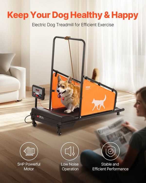 Electric Dog Treadmill for Medium Dogs
