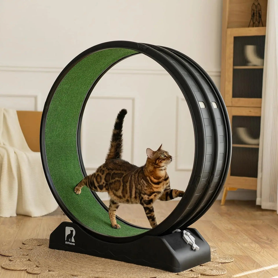 Cat Exercise Wheel, Cat Treadmill for Indoor Cats, Cat Running Wheel with Carpeted Runway, Easy to Install & Fitness & Health,
