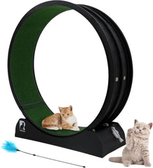 Cat Exercise Wheel – Indoor Running Treadmill with Carpeted Runway