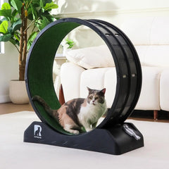 Cat Exercise Wheel – Indoor Running Treadmill with Carpeted Runway