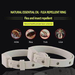 Anti Flea Tick Collar  Cat Small Dog Antiparasitic 8Month Protection Adjustable Puppy Kitten Collar Breakaway Pet Accessories