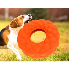 Interactive Dog Chew Toy & Foraging Feeder Plate
