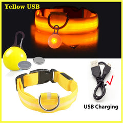 USB LED Glowing Dog Collar with Pendant