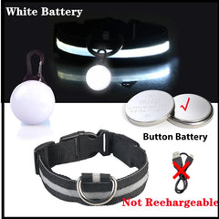 USB LED Glowing Dog Collar with Pendant