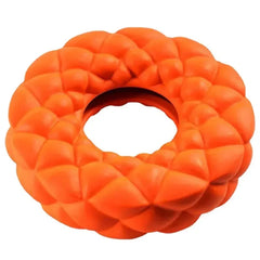 Interactive Dog Chew Toy & Foraging Feeder Plate