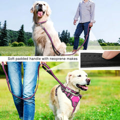 All-in-One Reflective Dog Harness, Collar & Leash Set – No-Pull Adjustable Pet Harness for Puppies & Small/Medium/Large Dogs