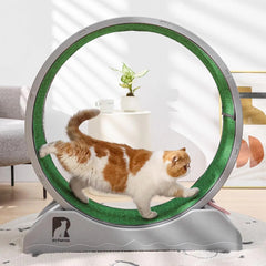 Cat Exercise Wheel – Indoor Running Treadmill with Carpeted Runway