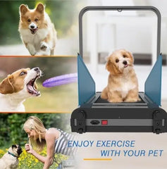 Dogs Treadmill Pet Dog Running Machine for Small and Medium Dogs Folding Dog Pacer Treadmill for Indoor Outdoor