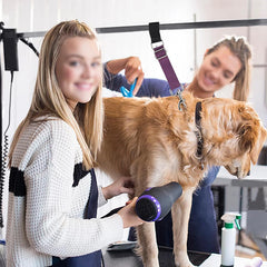 Dog Grooming Arm Extension Straps – Nylon Extender Belts for Pet Grooming Arms