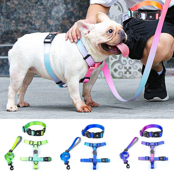 Gradient Color Dog Collar & Leash Set – Luxury Personalized Harness for Small, Medium & Large Dogs