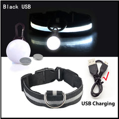 USB LED Glowing Dog Collar with Pendant