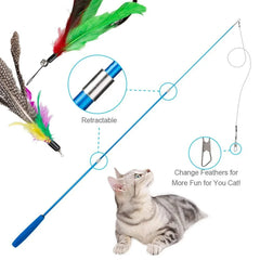 11pcs Cat Feather Toy Replacement Set with Retractable Wand