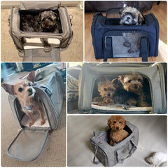 Soft-Sided Pet Carrier – Airline Approved Travel Bag for Small Dogs & Cats