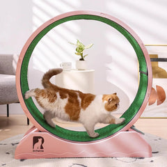 Cat Exercise Wheel – Indoor Running Treadmill with Carpeted Runway