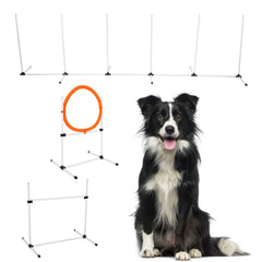 Adjustable Dog Agility Jump Set