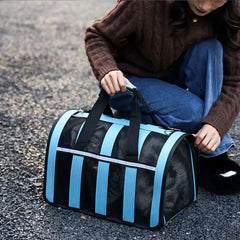 Portable Foldable Pet Carrying Bag – Breathable Handbag for Cats & Small Dogs