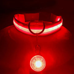 USB LED Glowing Dog Collar with Pendant