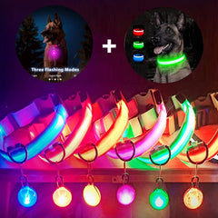 USB LED Glowing Dog Collar with Pendant