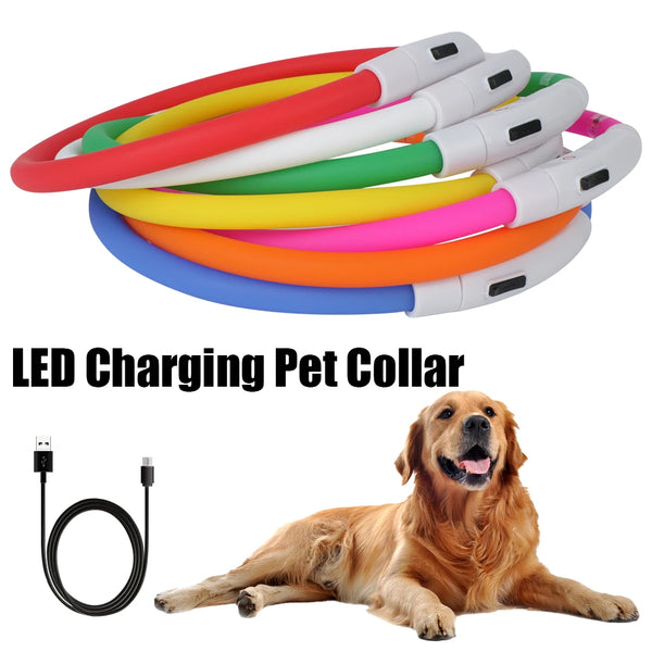 LED USB Rechargeable Dog Collar – Night Safety Glow Collar
