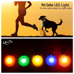 USB LED Glowing Dog Collar with Pendant