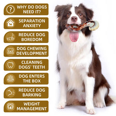 Tough Nylon Dog Chew Toy – Long-Lasting Beef Flavor for Aggressive Chewers